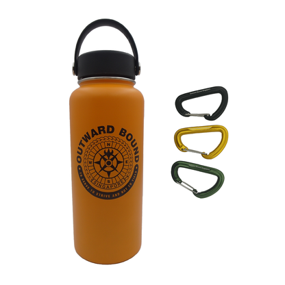 Hydrate-On-The-Go: Water Bottle Metal + Carabiner Set